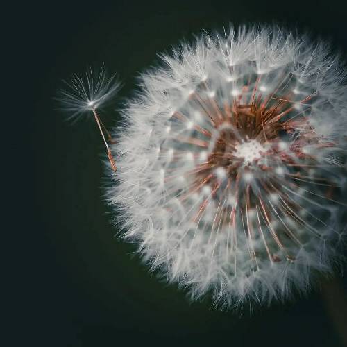 مهدی میرزایی ای خدا شدم اسیر دلخون جوونیم رفت پیر شدم تو‌ زندون کشت منو زندون